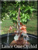 Small copper orchid fountain in kettle