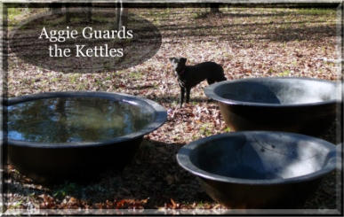 Three of our fiberglass sugar kettles being guarded by Aggie the dog. The name is short for "Aggravation".