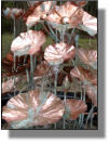 Testing of copper Lotus fountain destined for Sarasota, Florida