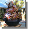 Philodendrum fountain for home in Folsom, LA