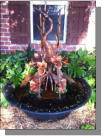 Nice standing heron copper fountain in Alexandria, LA