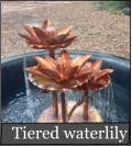 Tiered waterlily