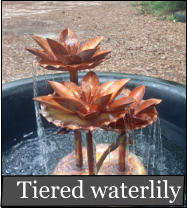 Tiered waterlily