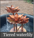 Tiered waterlily
