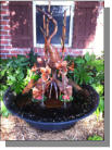 Nice standing heron copper fountain in Alexandria, LA