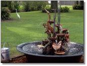 Brad and Kim just sent this picture of their new fountain with a visitor.